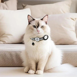 Pet Supplies